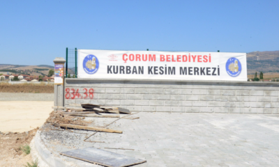 Dikkat, Usulsüz Kesime Ceza Var!