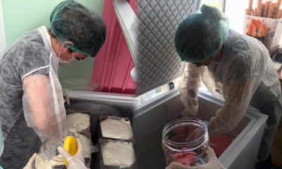 ‘Dondurma’ Denetimi