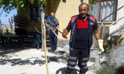 Eve Giren Yılanı İtfaiye Çıkardı