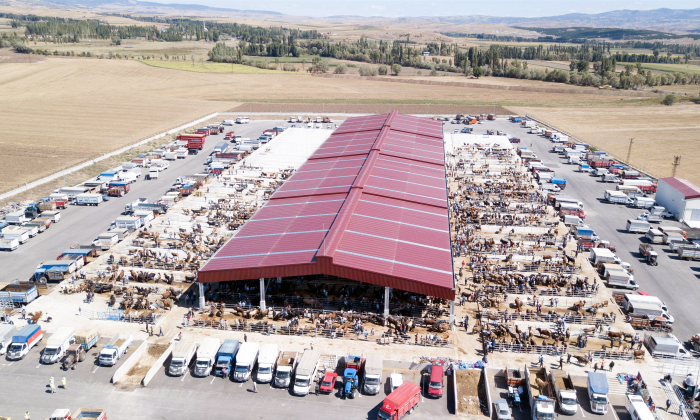 Hayvan Pazarına Ücretsiz Servis