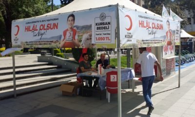 Kızılay, Kurban Vekaleti Kabul Edecek