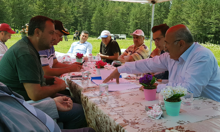 Kuşçaçimen Yaylası Projesi Hayata Geçiyor