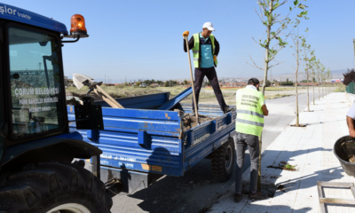 13 Bin Ağaç Toprak ile Buluşturuluyor