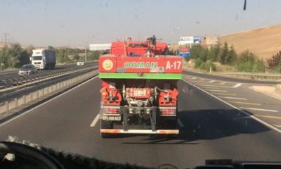 Adana’daki Yangınları Söndürüp Milas’a Koştular