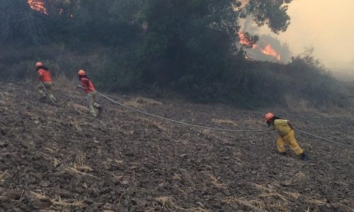 Çorum Ekibi Adana’daki Yangını Kontrol Altına Aldı