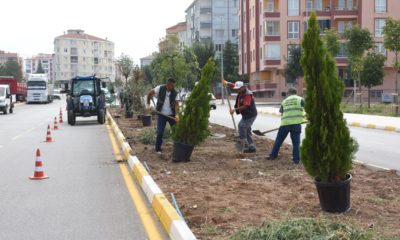 Fevzi Çakmak’ta Ağaç Dikim Çalışması