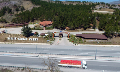 Sıklık Kapatıldı, Mangal ve Semaver Yasaklandı