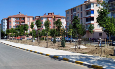Fevziçakmak’ta 108 Ağaç Dikildi