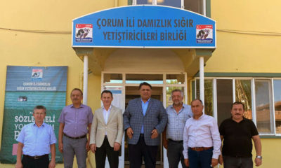 İki Proje Onaylandı