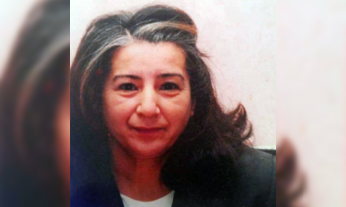 Kaybolan Annesini Arıyor