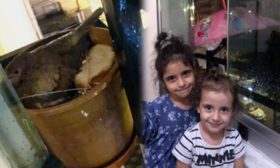 Merhametli Çocuklar