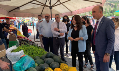 Milletvekili Sunat Nabız Yokladı, Sorun Dinledi