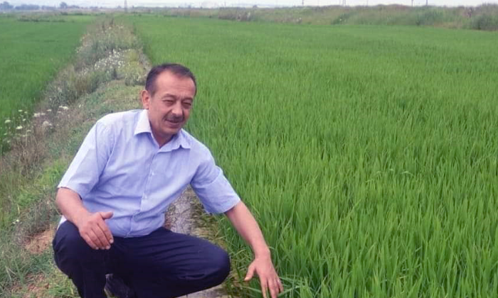 Sarı’dan Çeltik Yanığı Uyarısı