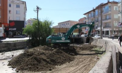 DSİ’den Dere Temizliği