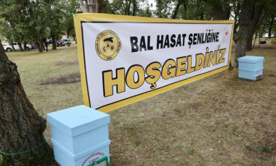 Arıcılar, Bal Hasadına Törenle Başladı