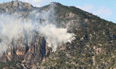 Ormanlık Alana Yıldırım Düştü