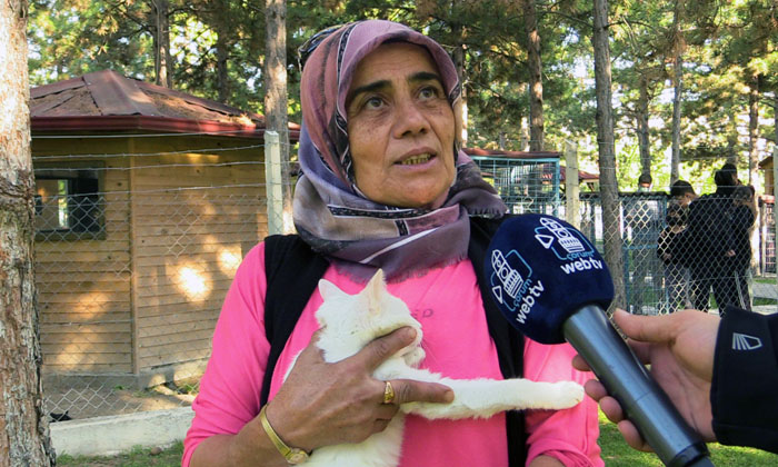 22 Köpek Tedavi İçin Çorum’a Getirildi