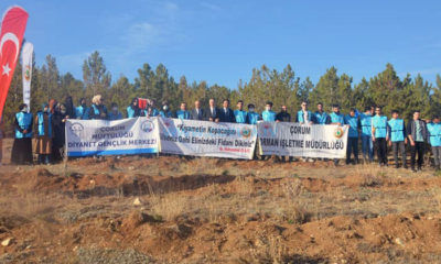 251 Şehit Anısına 251 Fidan Dikildi