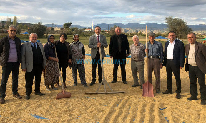 ‘Çeltik Fiyatları Üreticiyi Memnun Etmedi’