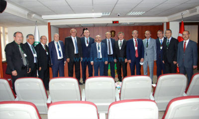 Ahmet Pehlivan, PANKOBİRLİK Yönetiminde