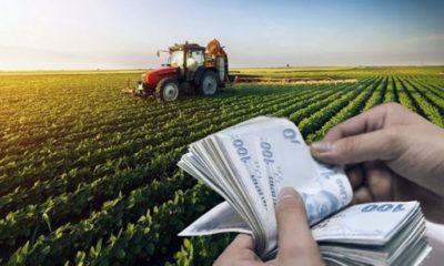 Çiftçiler Dikkat, Tarımsal Destek Detayları Belli Oldu