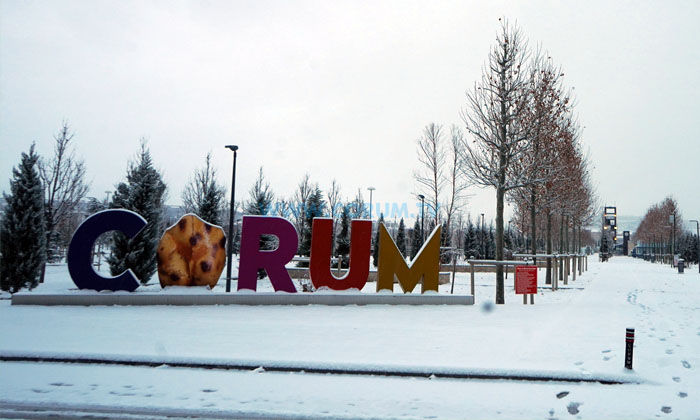 Dikkat, Kar Geliyor!