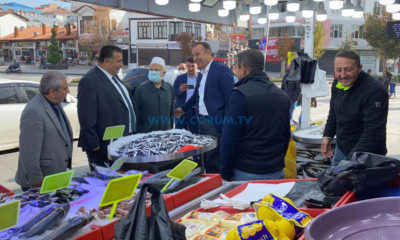 Çorum’un Vekilleri Esnaf Turuna Çıktı