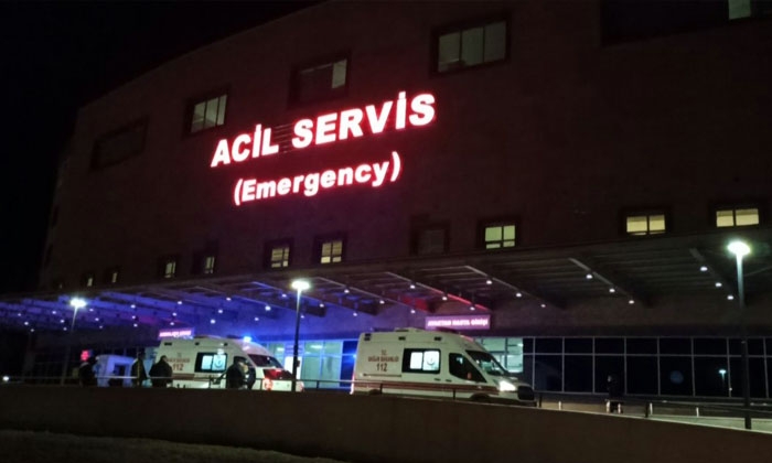 Ağaç Kesme Motoru Üzerine Düştü