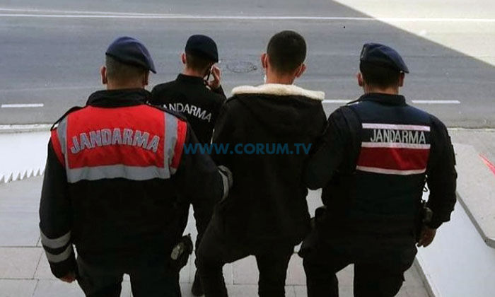 Jandarma, Aranan 26 Kişiyi Yakaladı