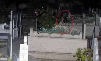 ‘Mezarlıktan Çığlık Sesleri Geliyor’ İddiası