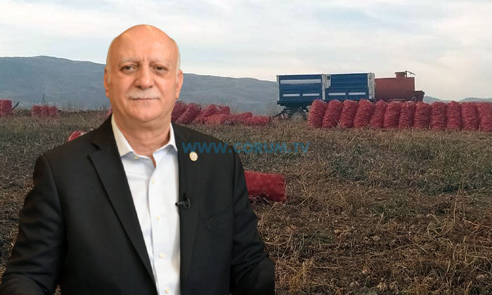 ‘Şikayet Diz Boyu, Acil Çözüm Bekleniyor’