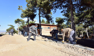 Hayvan Bakımevinin Etrafı Güzelleşiyor