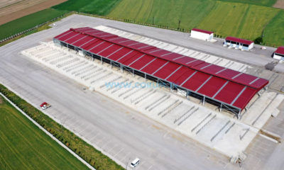 Çorum’un Hayvan Pazarı Beğeni Topladı