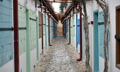 Dikiciler, Mutlu Sona Yakın