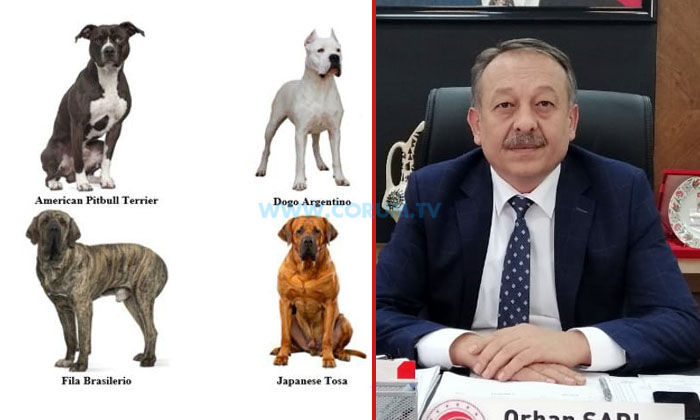 Dikkat, 11 Bin TL Cezası Var!