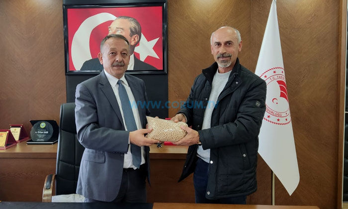 Hibe Tohumla Verim Artışı Sağladı