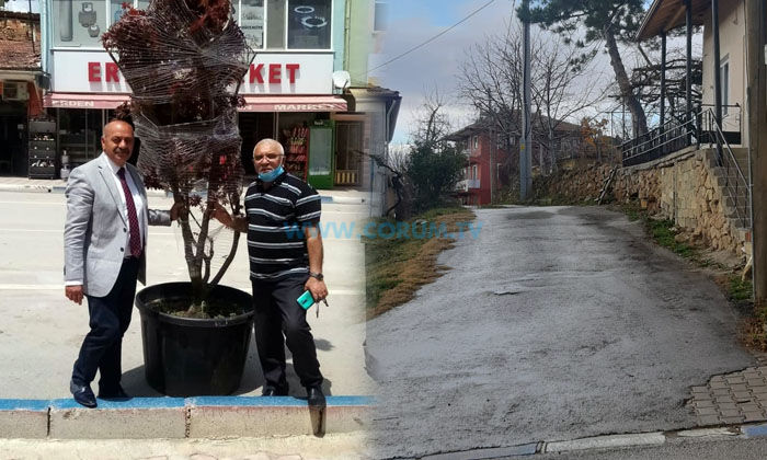 İlçe Başkanının Adı Sokakta