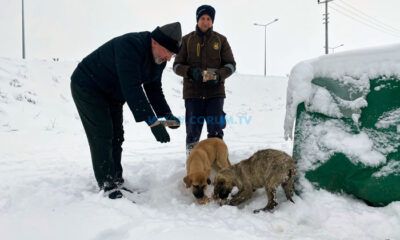 40 Araç ve 200 Personel Sahada