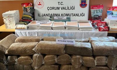 80 Bin Sahte Sigara Bandrolü Ele Geçirildi