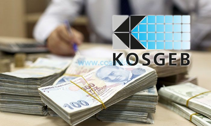 567 KOBİ’ye 18 Milyonluk Destek