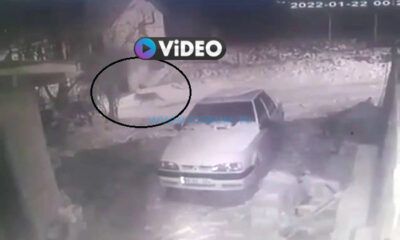 Aç Kalınca Köye İnen Kurt Kameraya Yansıdı