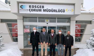 Erol Bozkurt, Hızlı Başladı