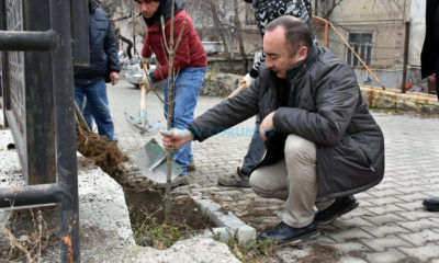 İskilip Yeşilleniyor