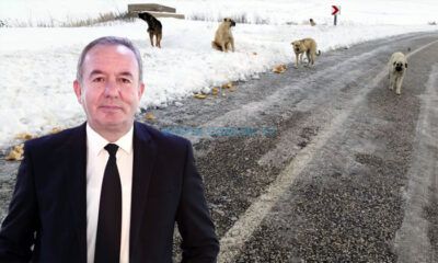‘Aç Kalan Hayvanlarımıza Sahip Çıkmaya Davet Ediyorum’
