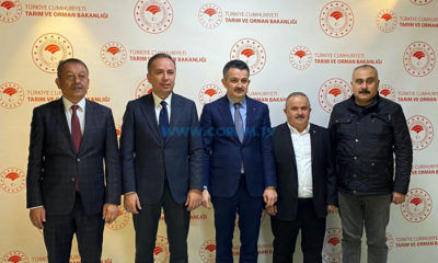 Soğan Üreticilerinin Sorunları Bakana Emanet