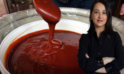 Soğuk Kış Günlerinde Doğal Koruma: Kuşburnu