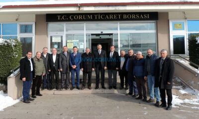 Süne ile Mücadele, Sonuç Vermeye Başladı