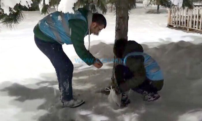 TÜGVA, Sokak Hayvanlarını Unutmadı