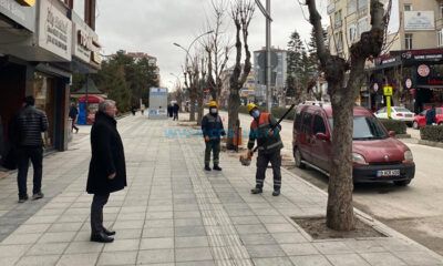 Budanan Dallar, İhtiyaç Sahiplerine Ulaştırılıyor