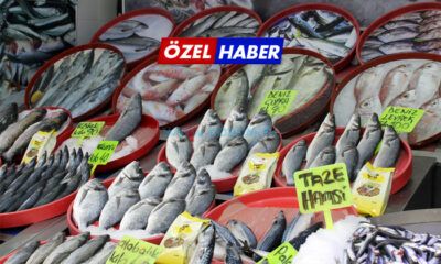 Akaryakıt Balığı Vurdu!